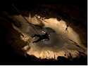 More Caves for Robbo
