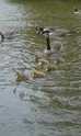Central Park 20/05/2013
