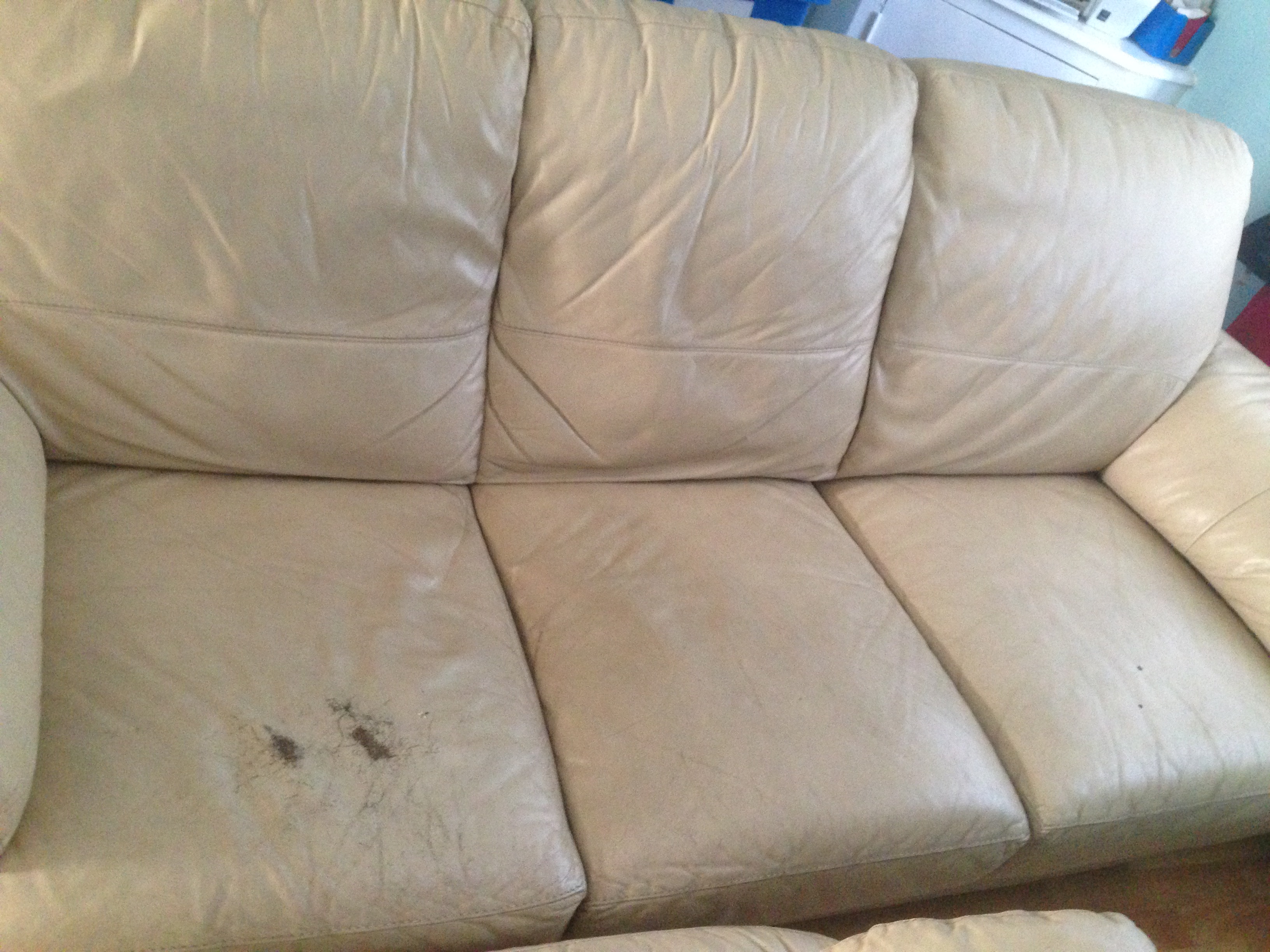 Attached picture COUCH.JPG