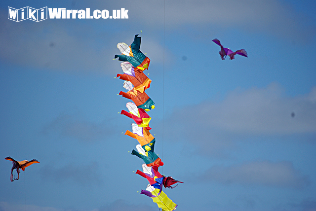 Attached picture kite3.jpg
