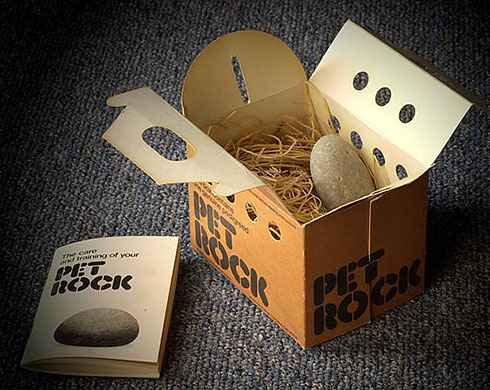 Attached picture very-strange-fad-pet-rock.jpg