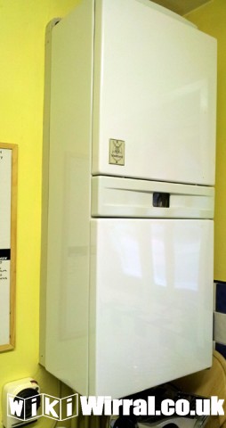 2011-07-15-18.14.46.jpg