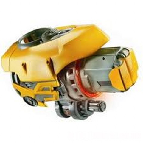 Attached picture bumblebee.jpg