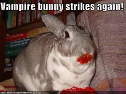 Attached picture bunny.jpg