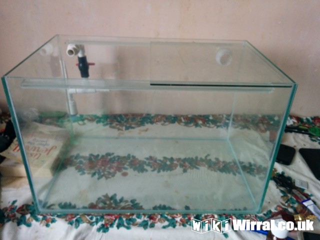 Attached picture fishtank.jpg