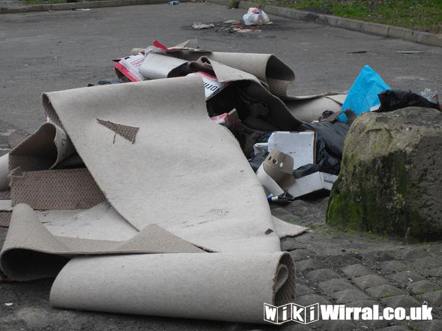 Attached picture litter1.JPG
