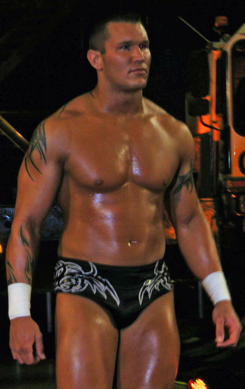 Attached picture Randy_Orton_One_Night_Stand_2007.jpg