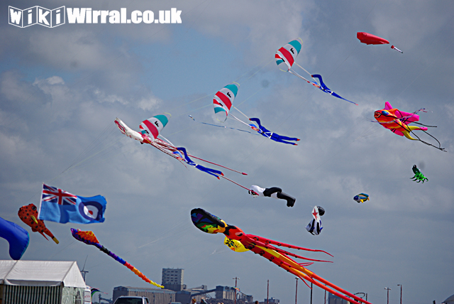 Attached picture kite10.jpg