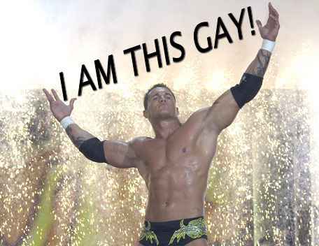 Attached picture randyortonthisgay.jpg