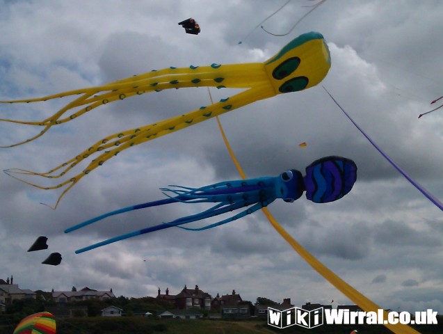 Attached picture Kites5.jpg