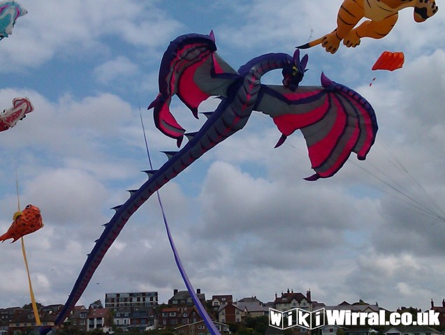 Attached picture Kites7.jpg