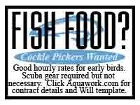 Fishfood.JPG Fishfood.JPG