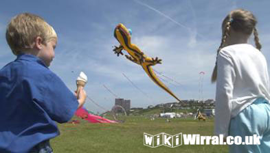 Attached picture kites.jpg