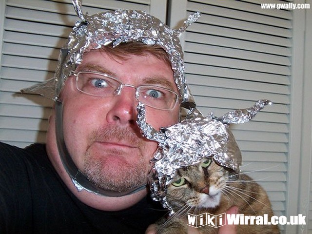 Attached picture tin_foil_hat_cat_man.jpg